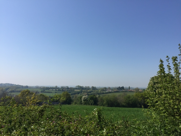 Nous montons le Chemin des Landes qui domine les marais.