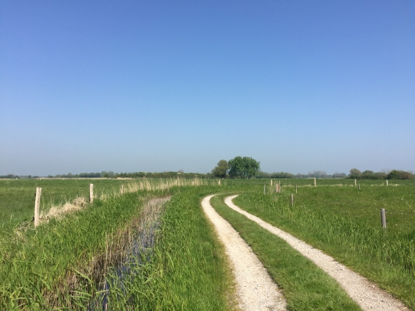 Nous suivons la Chasse Godet en direction de la côte.
