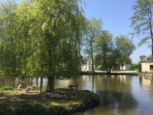 Etang du château de Vaugoubert.