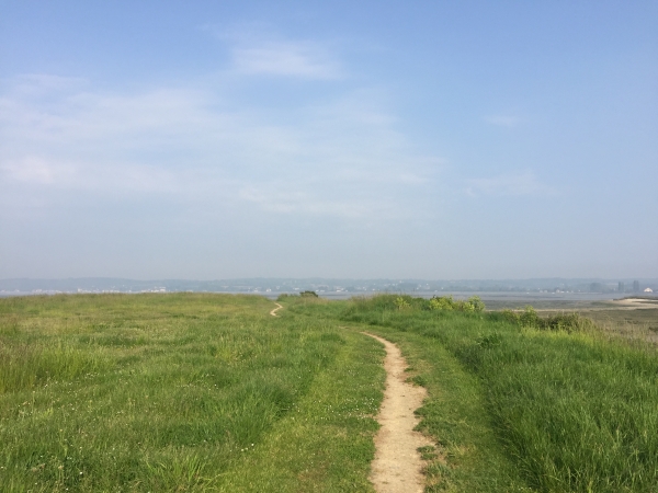 Nous suivons le chemin qui s'écarte de la Route de la Hougue.