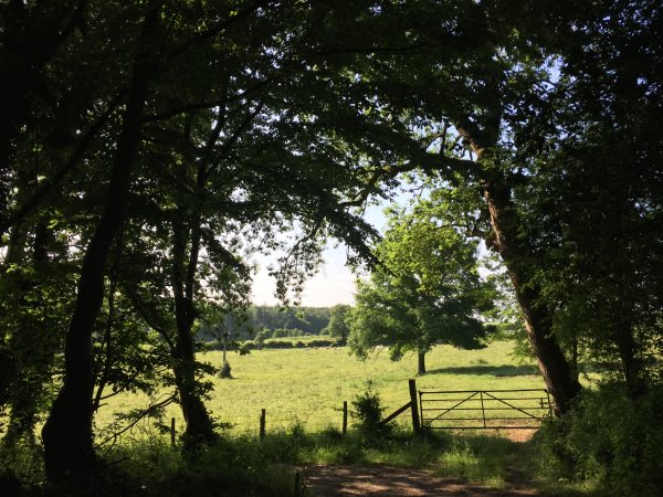 Petit chemin boisé non loin du lieu-dit La Nézière en direction de la Butte au Moulin.
