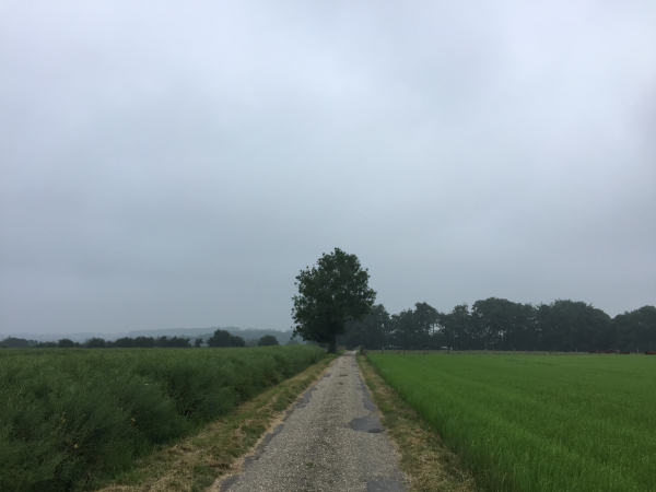 Chemin du Pival sur le plateau du Petit Veauville.