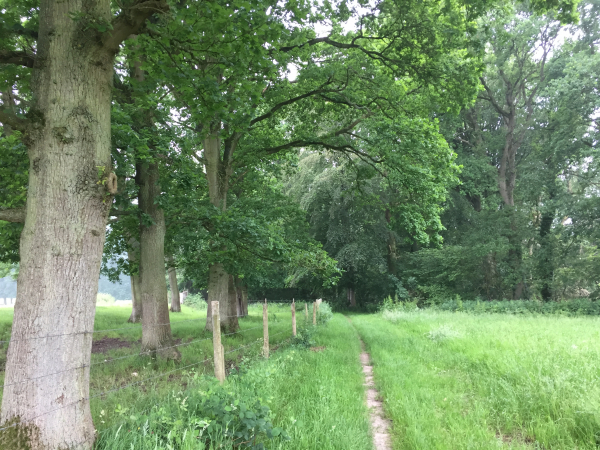 Nous descendons le coteau boisé de la Durdent.