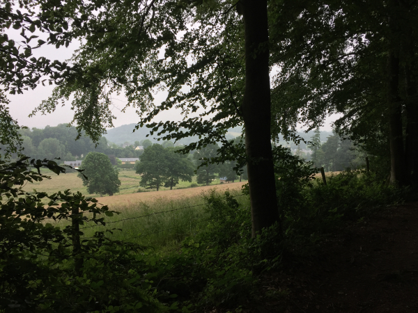 Nous sortons du bois, non loin des sources de la Durdent.