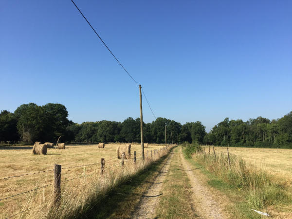 Nous n'entrons pas dans Bosrobert, et suivons le chemins du Meunier, et celui du Moulin.