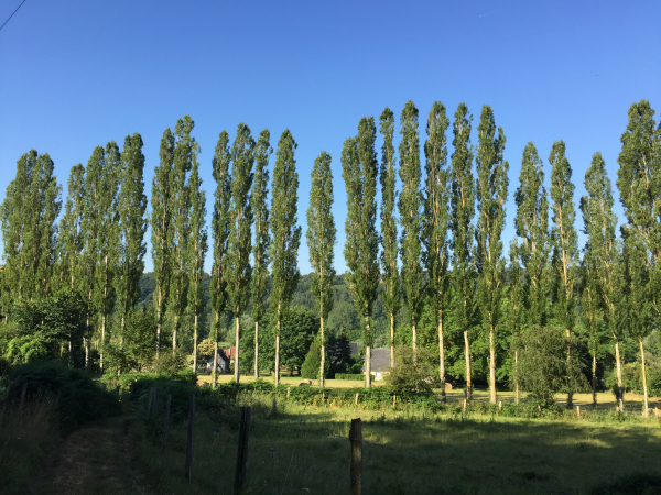 Le chemin du moulin nous descend jusqu'à Mémoulin, dans la vallée du Bec.