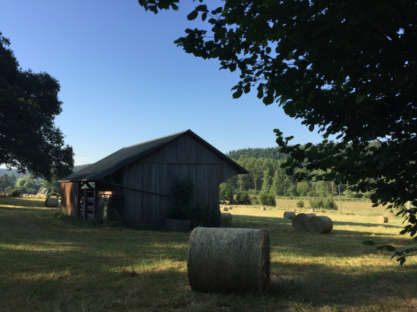 Vallée du Bec à Mémoulin.
