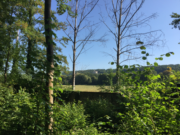 Dès que possible, nous quittons la Voie Verte, pour suivre le chemin parallèle qui n'est pas goudronné. Nous apercevons déjà l'abbaye.