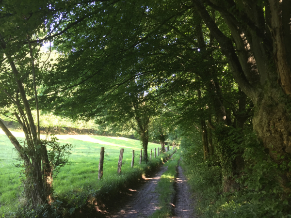 Le chemin est agréable, les paysages de bocage sont charmants.