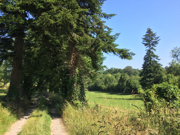 Ce chemin des Pelletiers va nous descendre doucement vers le Sébec : il nous manque un quatrième gué.