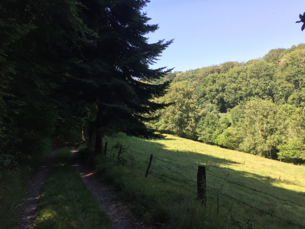 Le chemin des Pelletiers avance en balcon au-dessus de la petite vallée du Sébec.