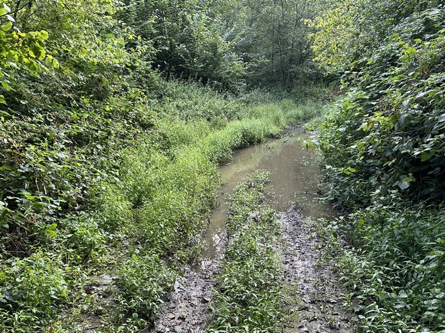 En fond de vallon, les chemins sont rapidement boueux. En été, il y a toujours le moyen d'éviter de patauger en passant au bord du chemin, mais en période humide c'est un circuit à éviter.