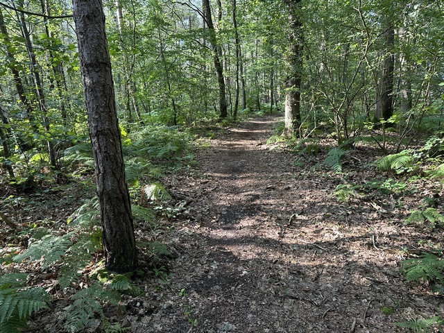 Le chemin de coupe arrive dans une propriété, mais ce chemin (invisible sur notre carte) contourne ces bois privés pour rejoindre le hameau de Frais Vent.