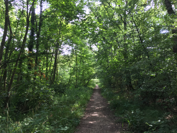 Nous suivons le GR21 qui est très boisé jusqu'à Pourville.