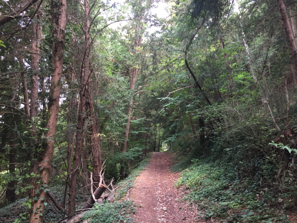 Aux Angles, nous prenons le chemin qui monte la Côte des Angles.