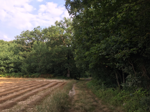 Entrée dans le bois de Carcouet.