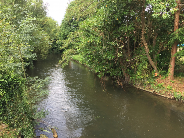 Nous sommes redescendus dans la vallée, et traversons l'Iton à Brosville.