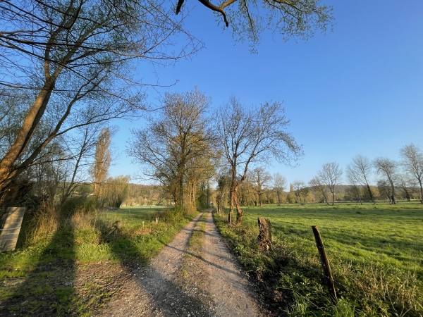 Chemin du Billois en direction de la Seine.