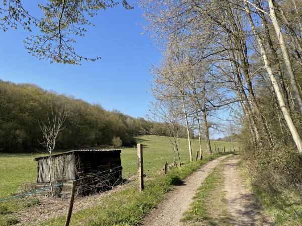 Chemin des Longues Vallées dans la vallée de l'Aubrière.