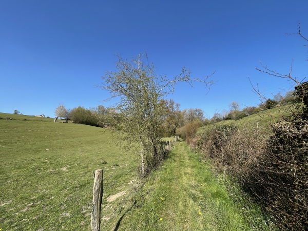 Nous avons traversé la D91 avec prudence : il y a de nombreux et rapides camions, et nous suivons maintenant le chemin de la Peinerie. Nous allons bientôt quitter le GR23 en restant sur ce chemin.