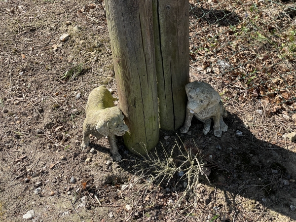 Curiosité à La Painerie : deux petites statues de chiots aux pieds de poteaux au bord de la route.