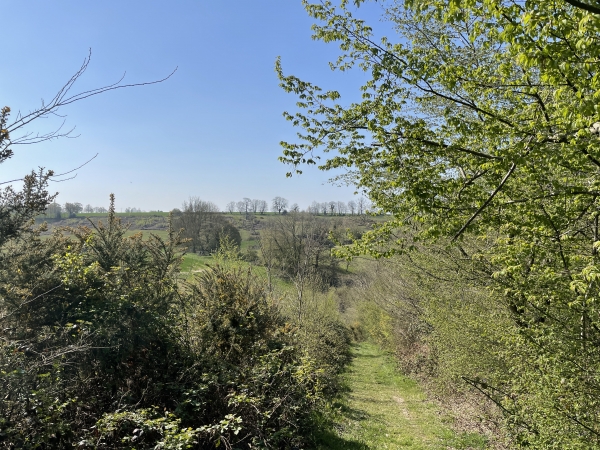 Nous descendons dans le bois de la Boissière pour remonter en face au niveau du château d'Autonne.
