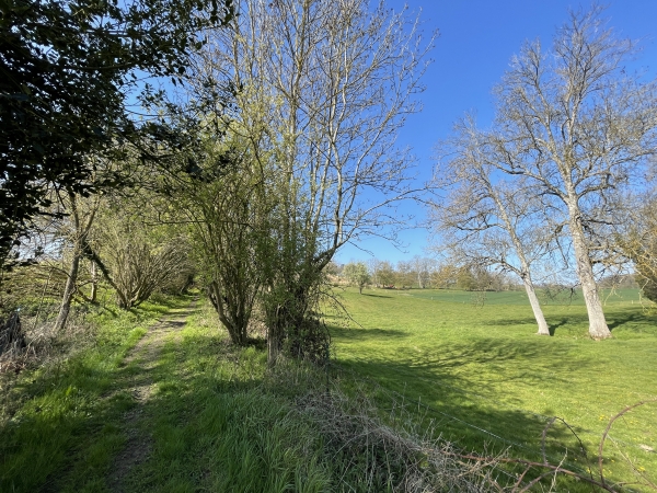 Sortie du bois de la Boissière en direction du château d'Autonne.