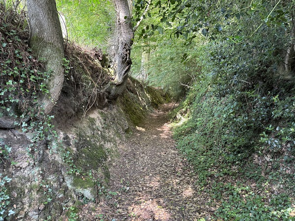 Cette petite, et seule, montée de l'étape, va nous permettre de rejoindre le plateau agricole qui s'étend entre Broglie et Orbec.