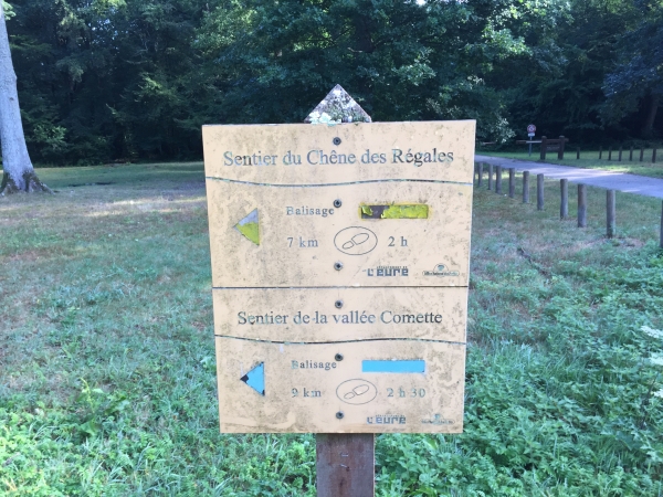 Carrefour des Quatre Bancs sur la route forestière des Longues Raies.