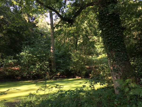 Arrivés à la Mare Corbet, nous prenons le chemin de la Vallée Cormette.