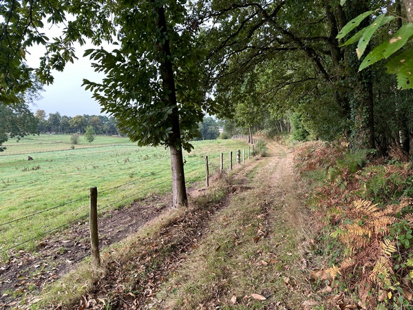 Nous contournons les hameaux de Cambourg et de la Fèvrerie par des chemins très agréables, entre bois et bocage.