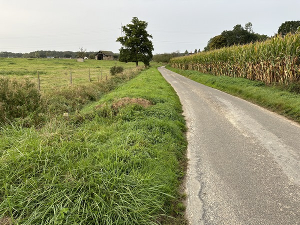 Près du hameau du Pavier, nous longeons la bétoire, effondrement naturel dans lequel s'engouffrent les eaux de ruissellements.