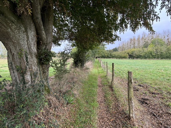 Nous continuons sur le chemin qui relie Theillement et le château du Val.