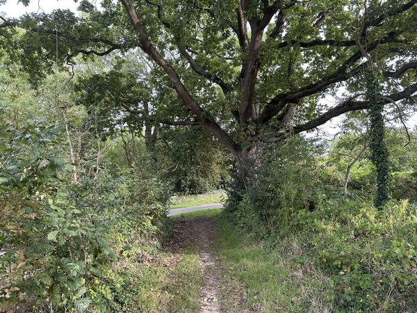 Après ce magnifique chêne, nous allons tourner à droite devant le château du Val.
