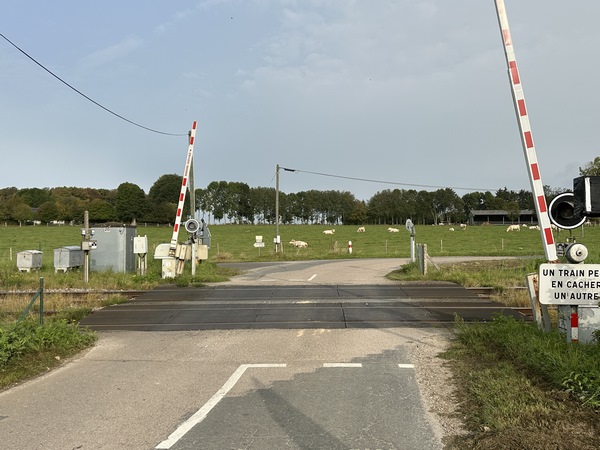 Nous franchissons la ligne Rouen - Caen (regard arrière). Ce passage à niveau est menacé, espérons qu'un passage piéton sera conservé.