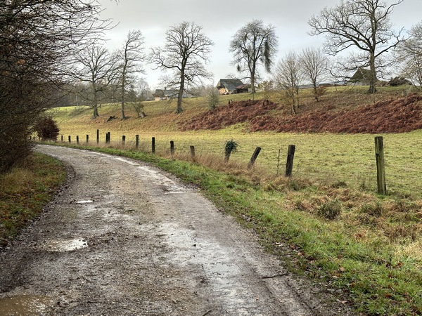 Nous sommes à la frontière entre l'Eure et la Seine-Maritime. La forêt domaniale est en Seine-Maritime.