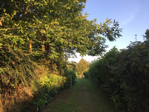 La commune de Bosc-Guérard-St-Adrien, en s'agrandissant, a préservé le tracé du GR25 en l'aménageant en chemin herbeux dans les lotissements.