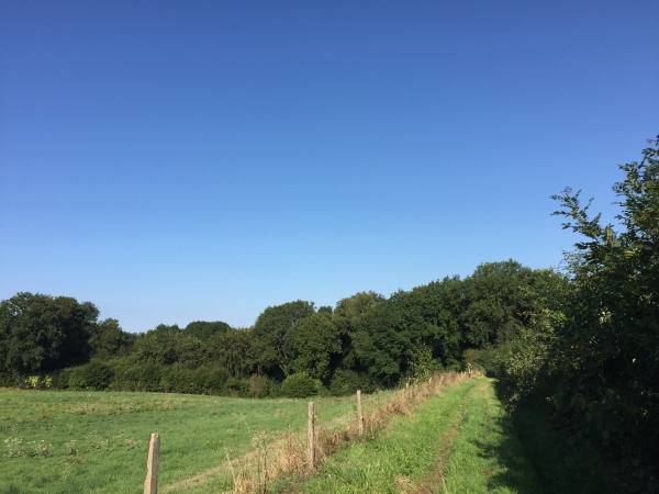 Nous suivons le chemin du Val au Roy pour redescendre dans la vallée de la Clérette.