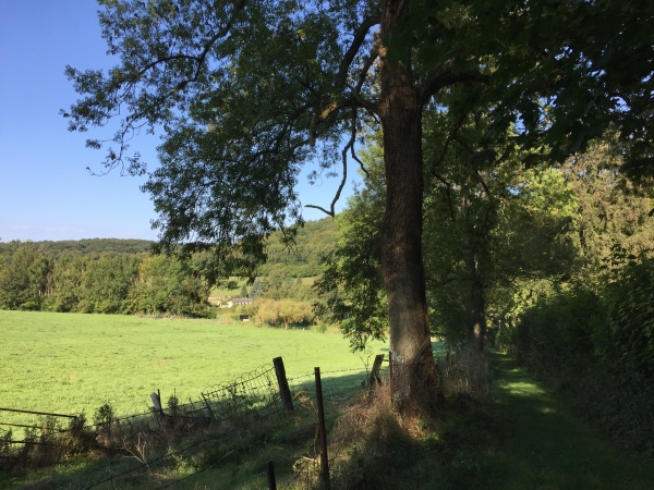 Chemin du Val au Roy, vue sur la vallée de la Clérette.
