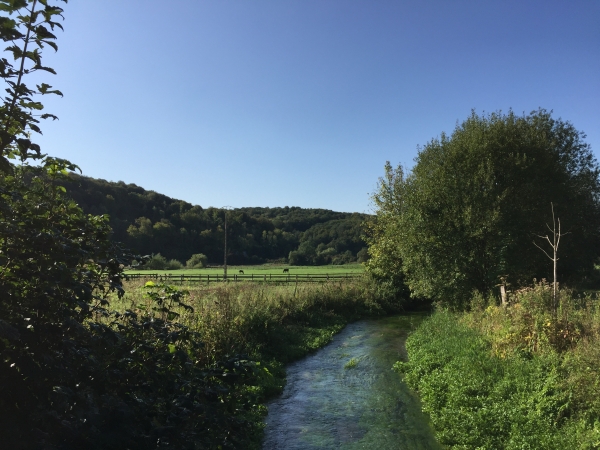 Nous traversons la Clérette sur le chemin de la Pérelle. Nous allons devoir suivre la route des Moulins du Tôt (D155) sur quelques dizaines de mètres avant de retrouver les chemins.
