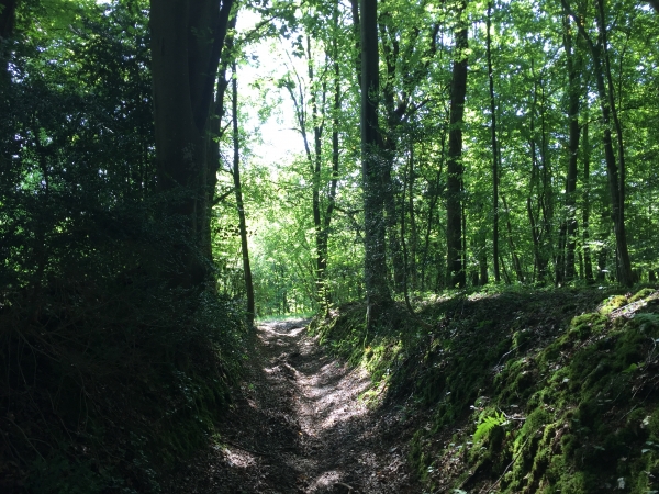 Après la montée sur le plateau aux Marettes, nous suivons le chemin des Chasse-Marée.