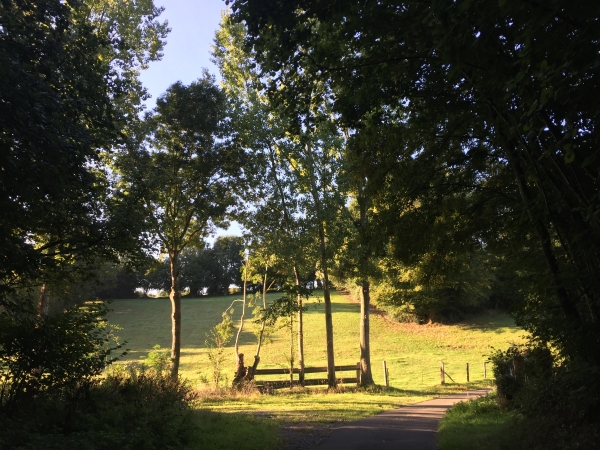 La commune d'Appeville-Annebault s'étend jusqu'à la Risle. Nous, nous partons de l'ancien village de Rondemare, au niveau de la chapelle du Saint-Esprit, et marchons vers le sud sur le Chemin de la Bergerie.