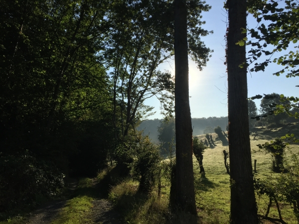 Nous quittons le Chemin de la Bergerie et prenons la direction du Chemin du Val Dallet.
