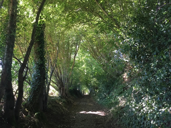 Entrée dans Rondemare par le chemin du Manoir.