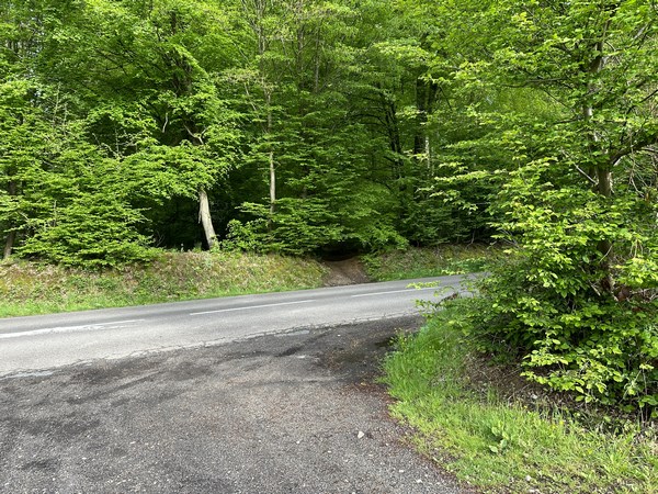 Nous allons traverser la D3 pour continuer en face, sur le chemin dont on devine à peine l'entrée.