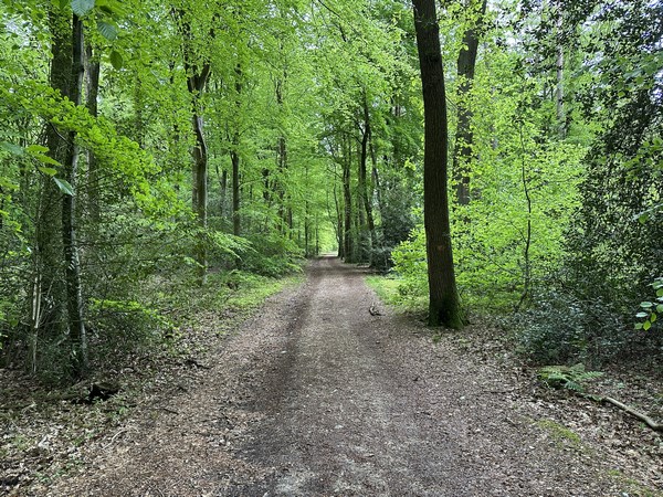Au sommet, nous suivons le chemin du Haut Bosc.