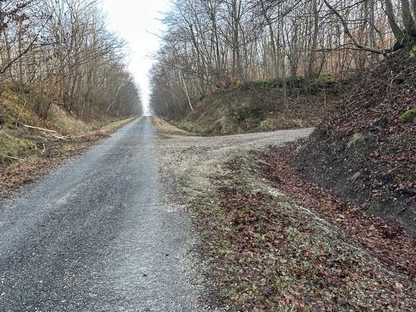 Je reviens sur une partie goudronnée de la route forestière de Bonport, mais je vais la quitter rapidement pour tourner ici, à droite.