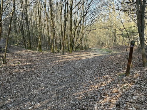 Nous quittons le GR2 pour tourner vers le sud en direction de la voie forestière du Claquemeure.