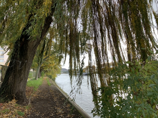 Rouen, sur le chemin qui fait le tour de l'île Lacroix. Sur l'album de la rando, vous trouverez aussi quelques photos de l'Armada.