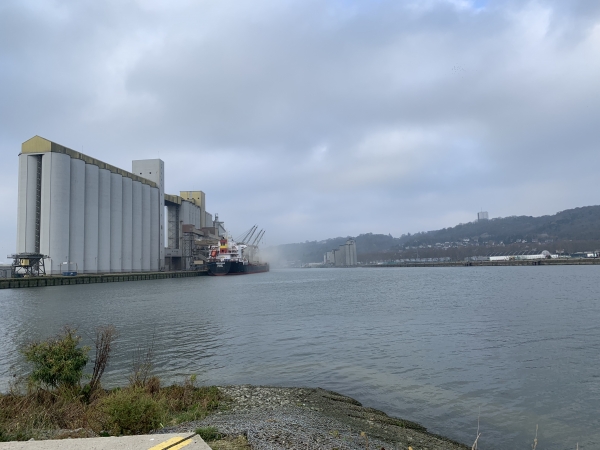 Rouen, pointe de la presqu'île Rollet. En face, les silos à céréales de la presqu'île Elie.